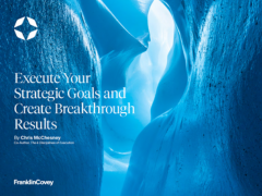 execute your strategic goals - thumbnail.JPG